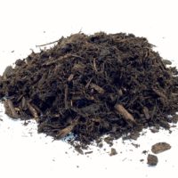 Triple Ground Hardwood - Image 3