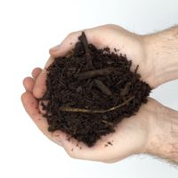 Triple Ground Hardwood - Image 2