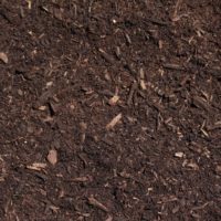 Triple Ground Hardwood - Image 4