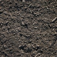 Organic Compost - Image 4